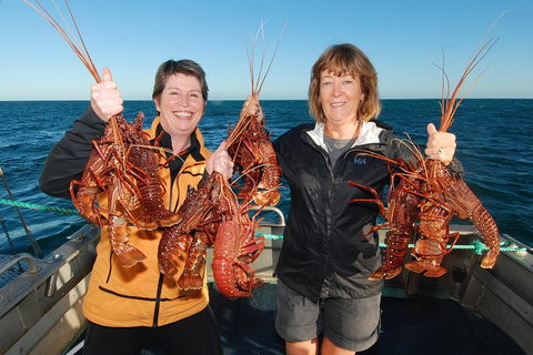 Abrolhos Islands 5 Day Tours - Accommodation Search 1