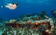 Abrolhos Islands 5 Day Tours - thumb 3