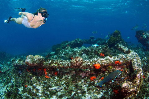 Abrolhos Islands 5 Day Tours - Accommodation Search 3