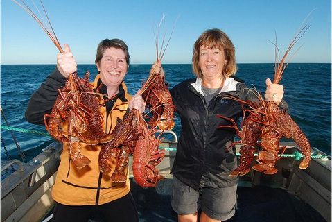 Abrolhos Islands 5 Day Tours - Accommodation Search 0
