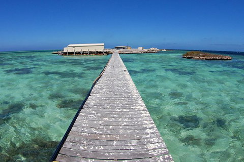 Abrolhos Islands 5 Day Tours - Accommodation Search 4