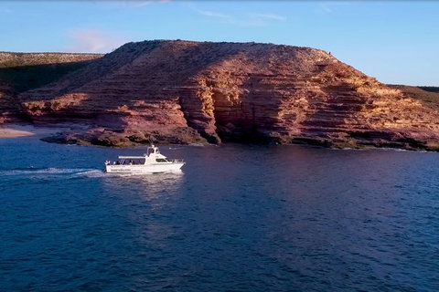 Kalbarri Sunset Coastal Cliff Cruise - Accommodation Search 4