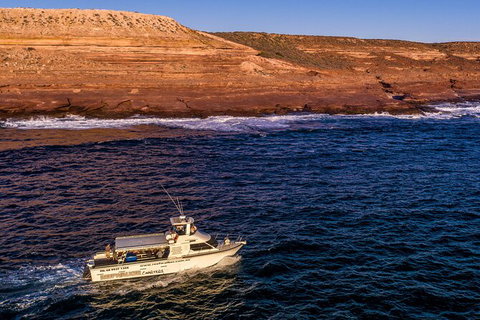 Kalbarri Sunset Coastal Cliff Cruise - Accommodation Search 3