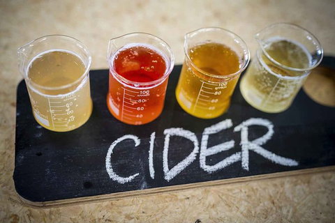 Bickley Valley Wine & Cider Tour - Premium Small Group Tour - Accommodation Search 1