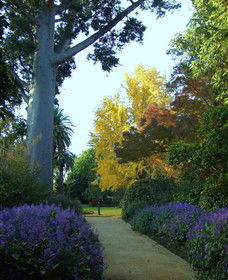 Albury NSW Accommodation Search