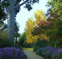 Albury Botanic Garden - Accommodation Search