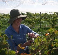 Kingsdale Wines - Accommodation Search