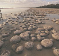 Lake Clifton Thrombolites - Accommodation Search