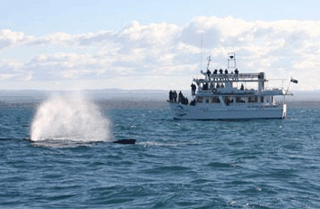 Huskisson NSW Accommodation Search