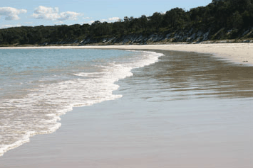 Dolphin Watch Cruises - Accommodation Search 5