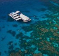 Great Adventures Reef and Green Island Cruises - Accommodation Search