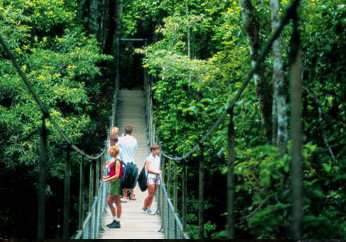 BTS Tours Pty Ltd - Accommodation Search 4