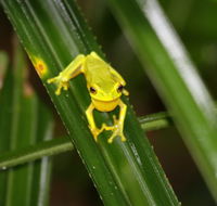 Daintree River Cruise Centre - Accommodation Search