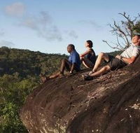 Cooktown Aboriginal Art Tours - Accommodation Search