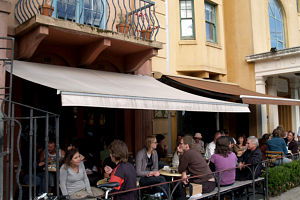 Dogs Bar - Accommodation Search 0