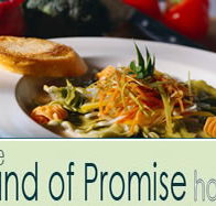 Land of Promise Hotel - Accommodation Search