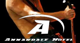 Annandale Hotel - Accommodation Search 0