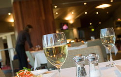  Accommodation Search