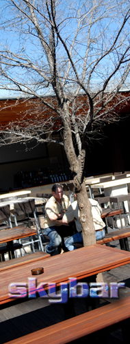 Alma Tavern - Accommodation Search 2