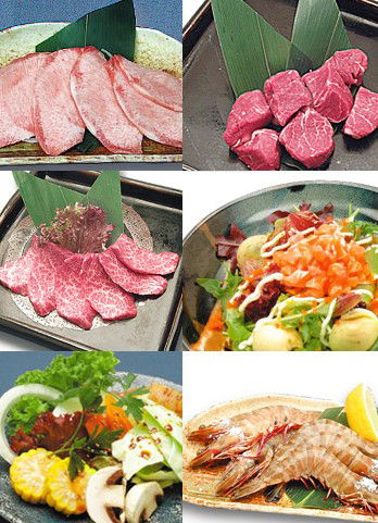 Koh-Ya Yakiniku Japanese Restaurant - Accommodation Search 0