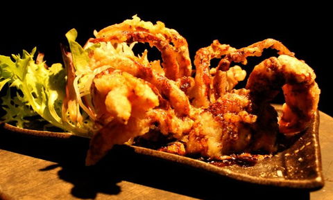 O'Sushi Japanese Restaurant - Accommodation Search 3