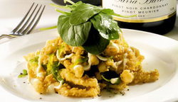  Accommodation Search