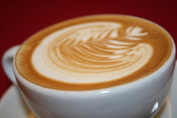  Accommodation Search