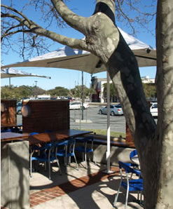 Lakers Tavern - Accommodation Search 3