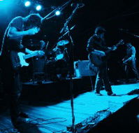 Fly By Night Musicians Club - Accommodation Search