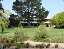 Bendemeer Hotel - Accommodation Search 1