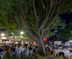 Premier Hotel - Accommodation Search 2