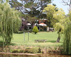 Bendemeer Hotel - Accommodation Search 3