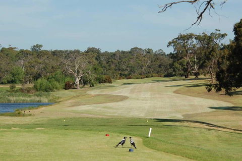 Devilbend Golf Club - Accommodation Search 1