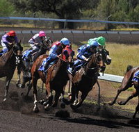 Alice Springs Turf Club - Accommodation Search