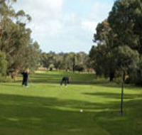 Mount Gambier Golf Club - Accommodation Search