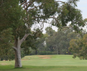 Tocumwal Golf Club - Accommodation Search 2