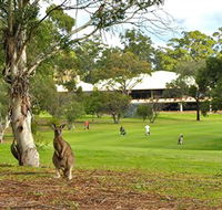 Pambula Merimbula Golf Club - Accommodation Search