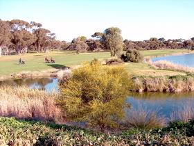 Maitland Golf Club Incorporated - Accommodation Search 1