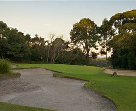 Anglesea Golf Club - Accommodation Search 4