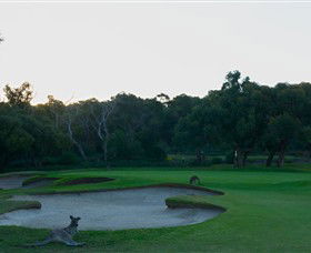 Anglesea Golf Club - Accommodation Search 8