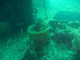 Wallaroo Scuba Club - Accommodation Search 0