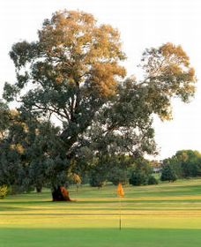 Cowra NSW Accommodation Search