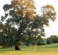 Cowra Golf Club - Accommodation Search