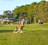 Sanctuary Cove Golf and Country Club - Accommodation Search