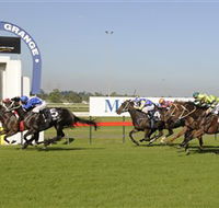 Kembla Grange Racecourse - Illawarra Turf Club - Accommodation Search