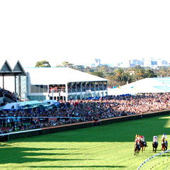 Morphettville SA Accommodation Search