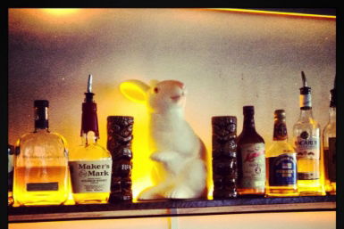 Hairy Canary - Accommodation Search 0