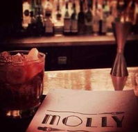 Molly - Accommodation Search
