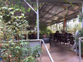 Alice Vietnamese Restaurant - Accommodation Search 4