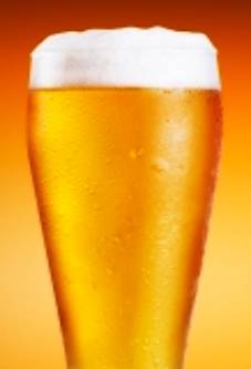 Helensvale Tavern - Accommodation Search 0